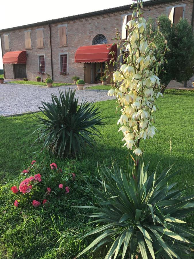 Il Frattiero B&B Voghenza Exterior foto